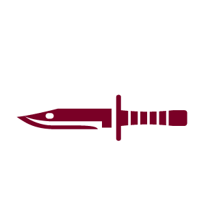 spielbubecarsten's emblem