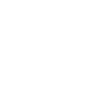 11B-Y-G-O-R11's emblem