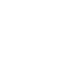 TRANsGlRL's emblem