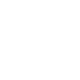 CHN-Virus19's emblem
