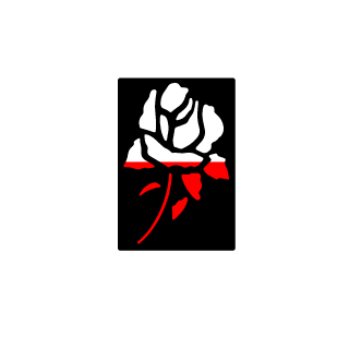 superplayer32's emblem