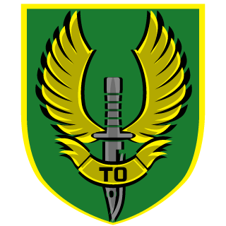 Tactical Operations's emblem