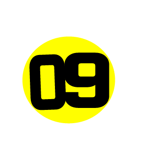 DerMaximlol's emblem