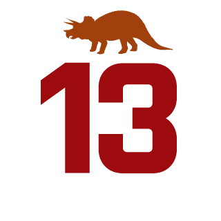 ciavash1's emblem