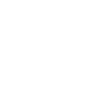 SwarlyWmPS's emblem