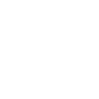 -RTC-012-JAVA's emblem