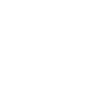 ijnstu's emblem
