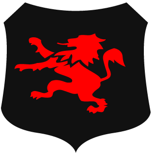Wisemo81's emblem