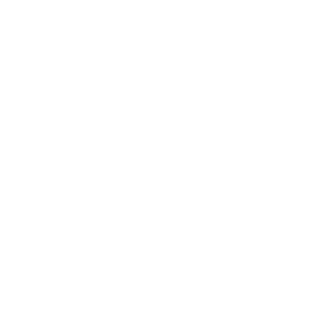 pinti1000's emblem