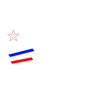 TARKOVSKYSV's emblem