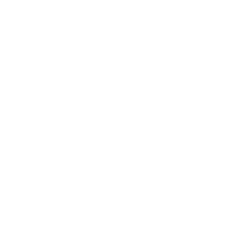 arian_23_'s emblem