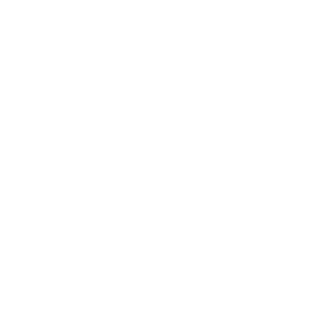 335Mick's emblem
