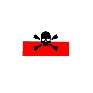 arnni97wojtowicz's emblem