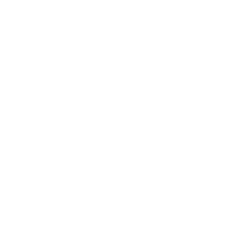 capitansev's emblem