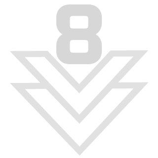 NoFearV8's emblem
