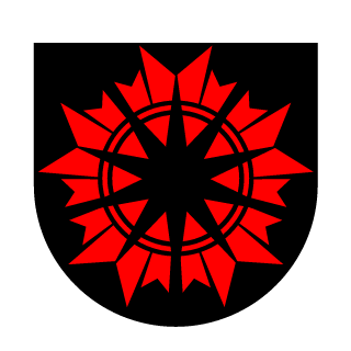 Starcraftboy2's emblem