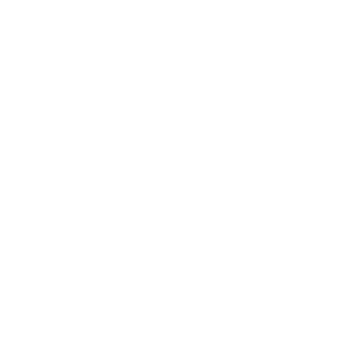 patryk767sl's emblem