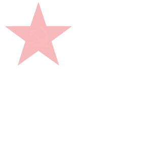 xCyberConanx's emblem