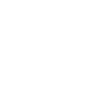 THEBercserk's emblem
