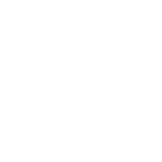 Dashy39's emblem