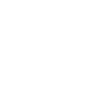 maxmaxpe's emblem