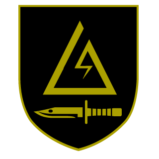 SuicideYourWay's emblem