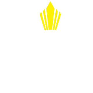 RogerXplosion's emblem