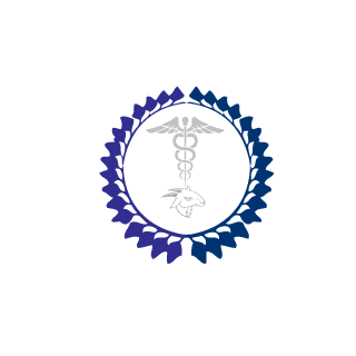moikka141's emblem