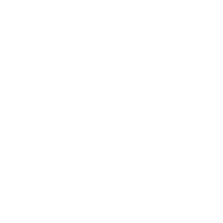 51BAL's emblem
