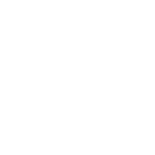 WDNMD_BMZ's emblem
