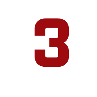 ROZDUM33's emblem