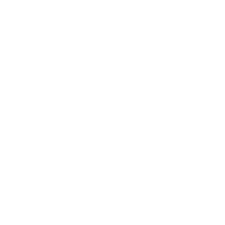 StefekWonsik's emblem
