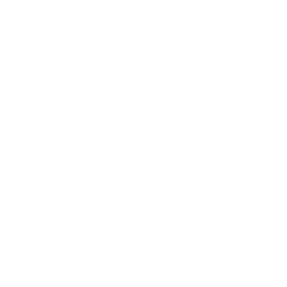 SaltyTortuga's emblem
