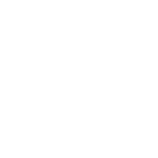 RG-1M3D's emblem