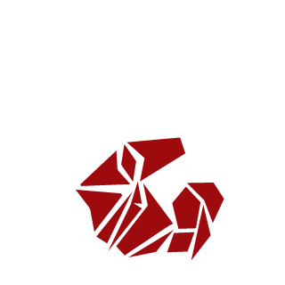 0G_RoBo's emblem