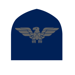 SanchezPFA's emblem