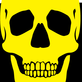salva503h's emblem