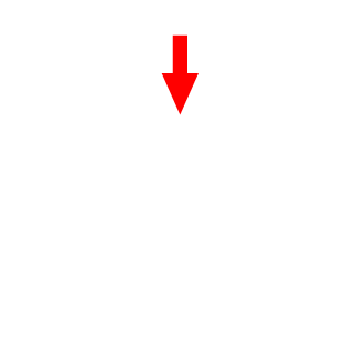 Stef_Vukkar's emblem