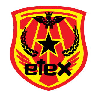 BlizzzardBlade's emblem