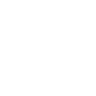 Dsnu69's emblem