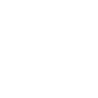 DltDan's emblem