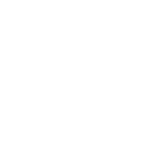 paralologram's emblem