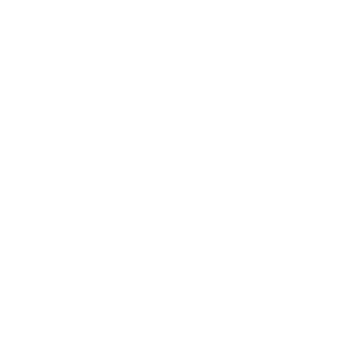 Brunosg09's emblem