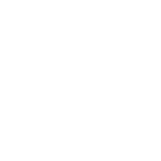 mmrsweden's emblem