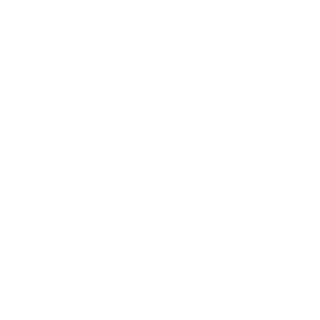 CONGOBIILL's emblem