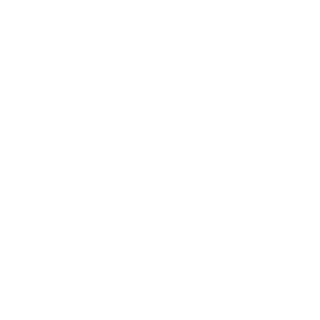 Reborn1213's emblem
