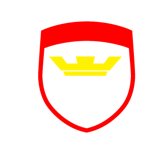 wowik98's emblem