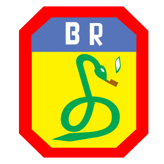 luisotaviobarret's emblem