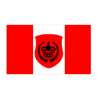 201E_MaN201's emblem