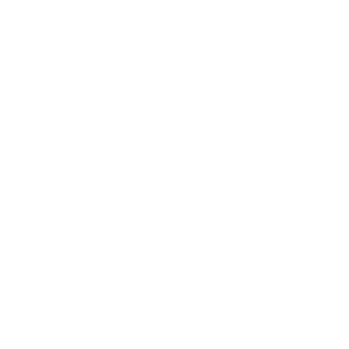 sooowasted's emblem